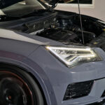 387766292_715080727316984_691887509860492838_n